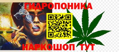 spice Бузулук