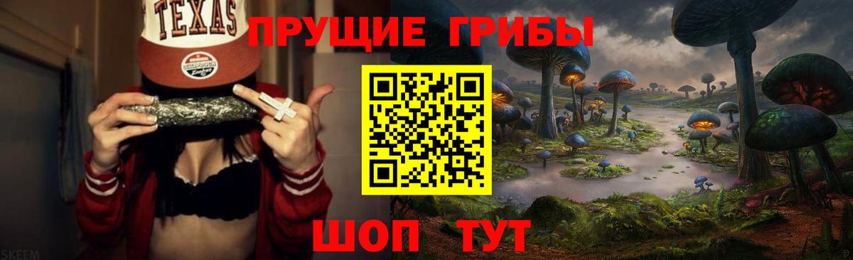 Псилоцибиновые грибы прущие грибы  Вход с VPN  Псилоцибиновые грибы GOLDEN TEACHER  Шебекино 